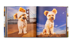 49 Dogs and One Cat, The Insider's Guide to San Francisco
